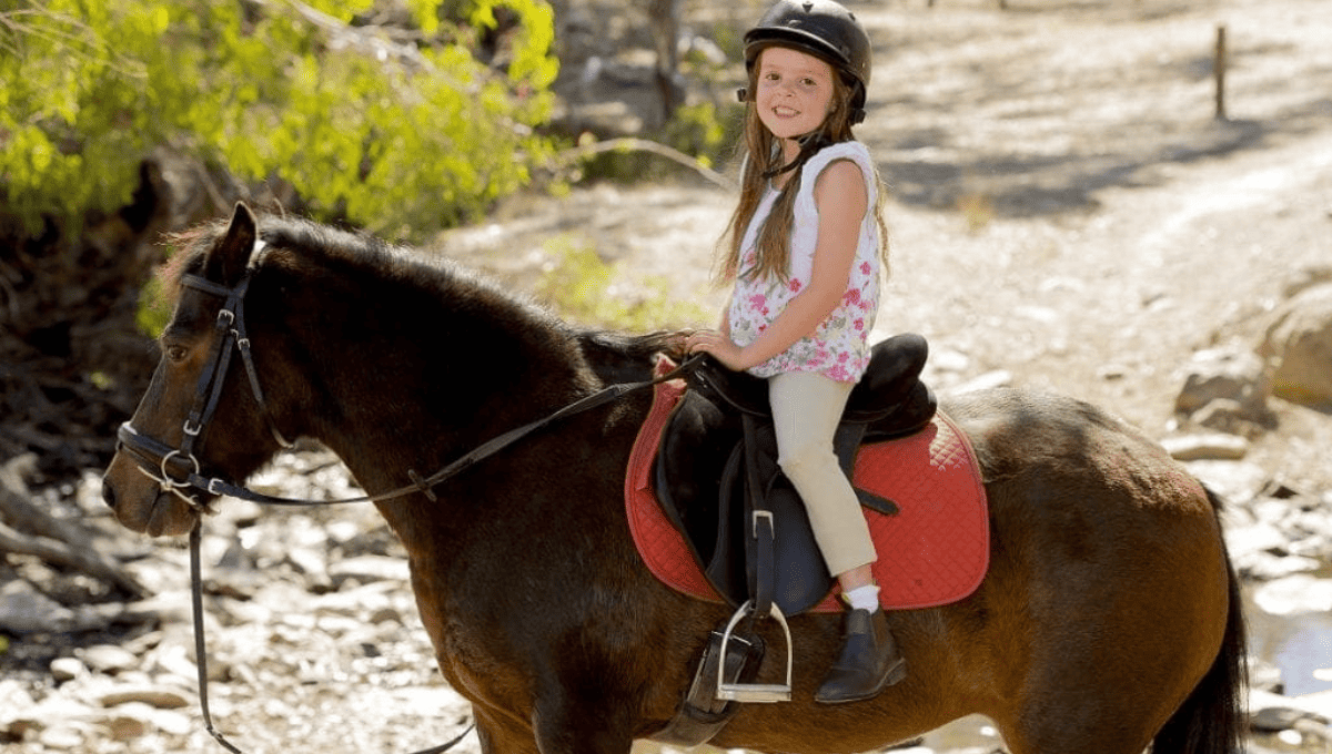 Horse riding in Brisbane with kids