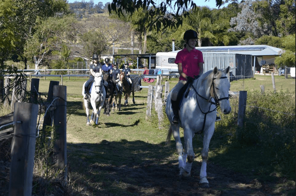 Wattle-Creek-Riding-School