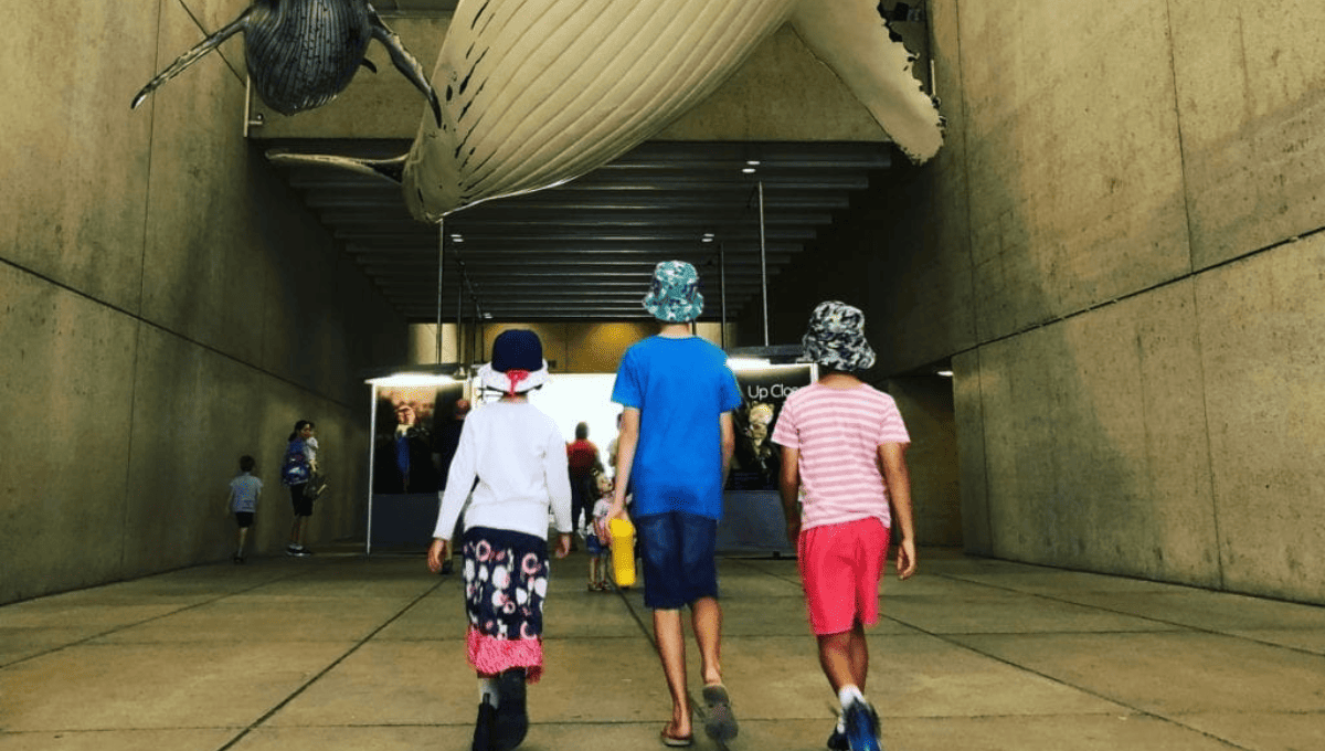 The ultimate list of the best things to do in Brisbane for families