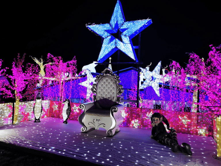 The Best Christmas Lights Gold Coast 2024 List PLUS Maps!