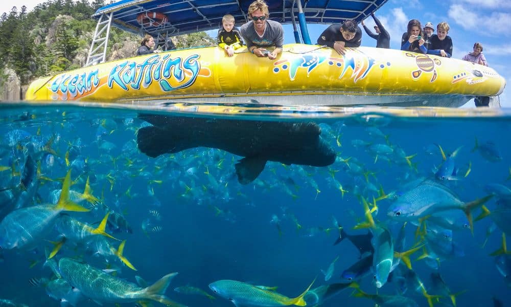 Ocean rafting tour from Airlie Beach