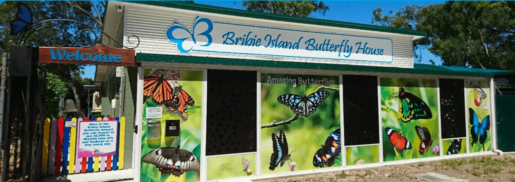 Bribie-Island-Butterfly-House