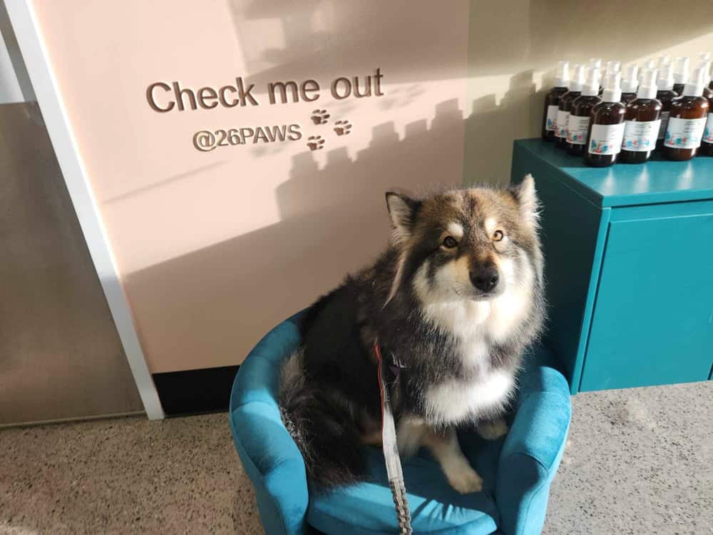 Miss X post groom