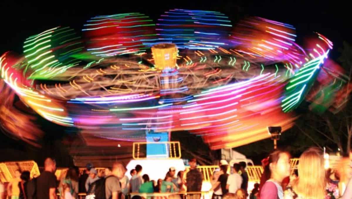 sunnybank multifest
