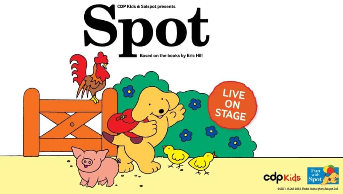 Spot Live in Brisbane