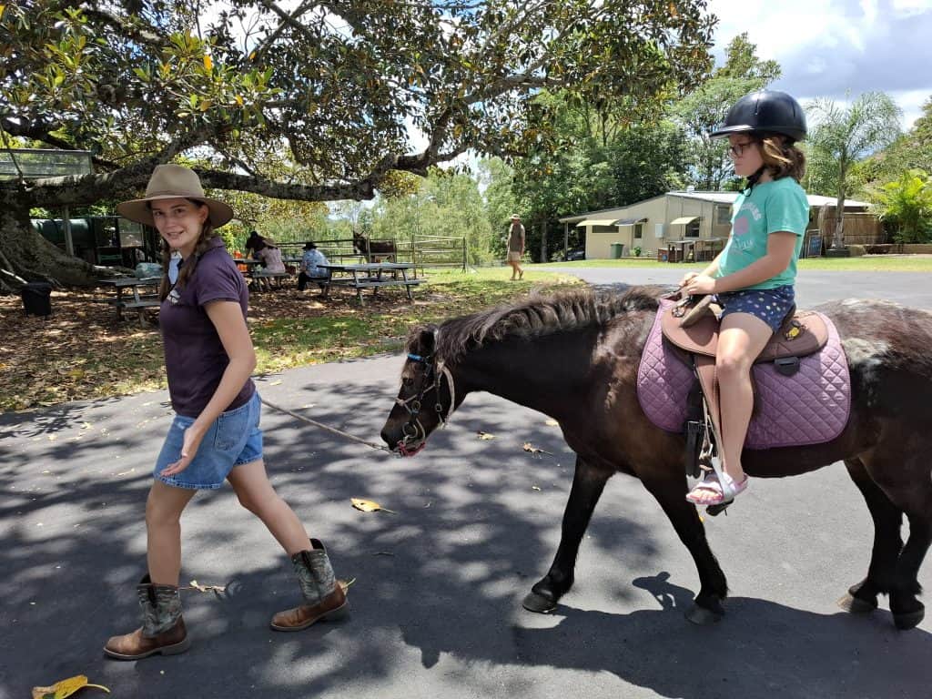 Trevena Glen Pony Ride