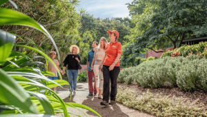 Roma Street Parkland School Holiday Activities
