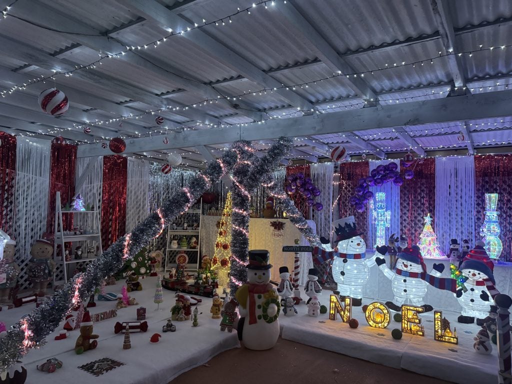 73-Timor-Avenue-christmas-lights