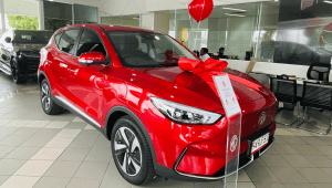 Family Electric Vehicle