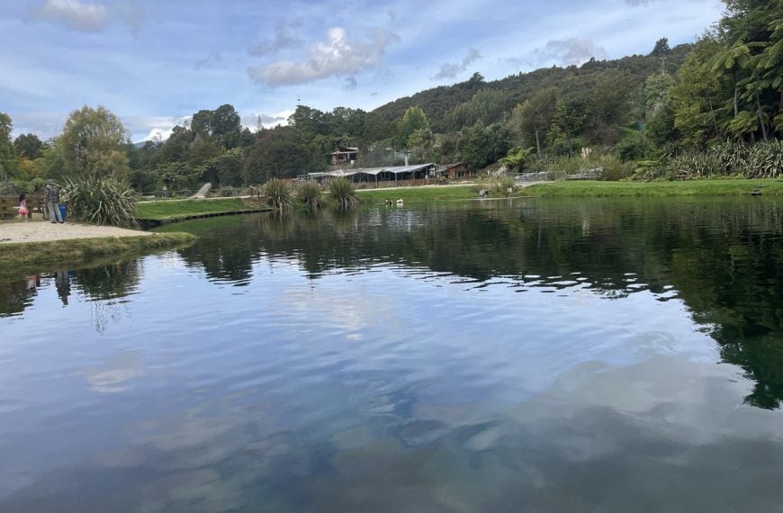 Scenic lake and forest landscape in Nelson, New Zealand, with calm water reflections and lush green surroundings.