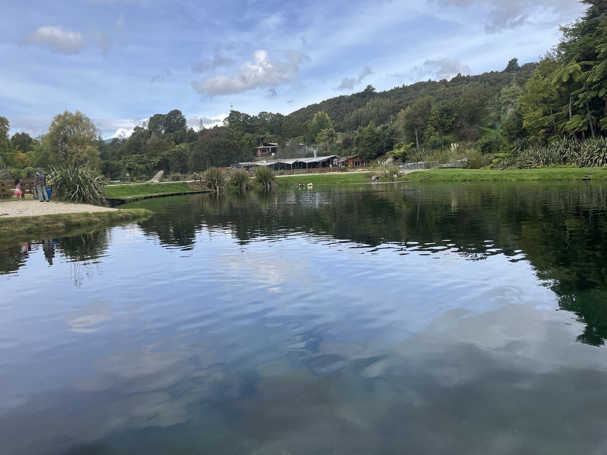 Scenic lake and forest landscape in Nelson, New Zealand, with calm water reflections and lush green surroundings.